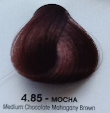 4.85 Luminart Cream Colour 100m- Chocolate Range