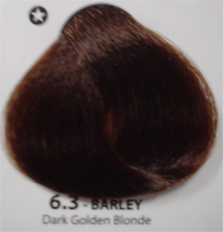 6.3Luminart Cream Colour 100ml Dark Golden Blonde