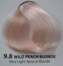 LC9.8 Luminart Cream Colour 100ml