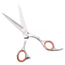 Professional Hairdressing Scissors 5.5" JP Stainless Hair Cutting Scissors