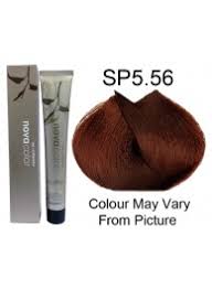 SP5DE LORENZO NOVA COLOR 60gm -  Nutmeg