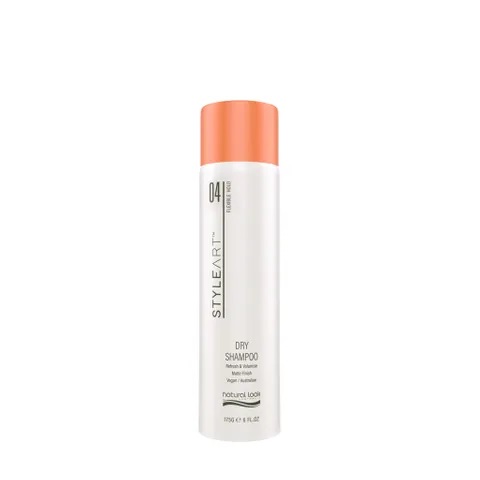 NATURAL LOOK - STYLE ART DRY SHAMPOO 175GM