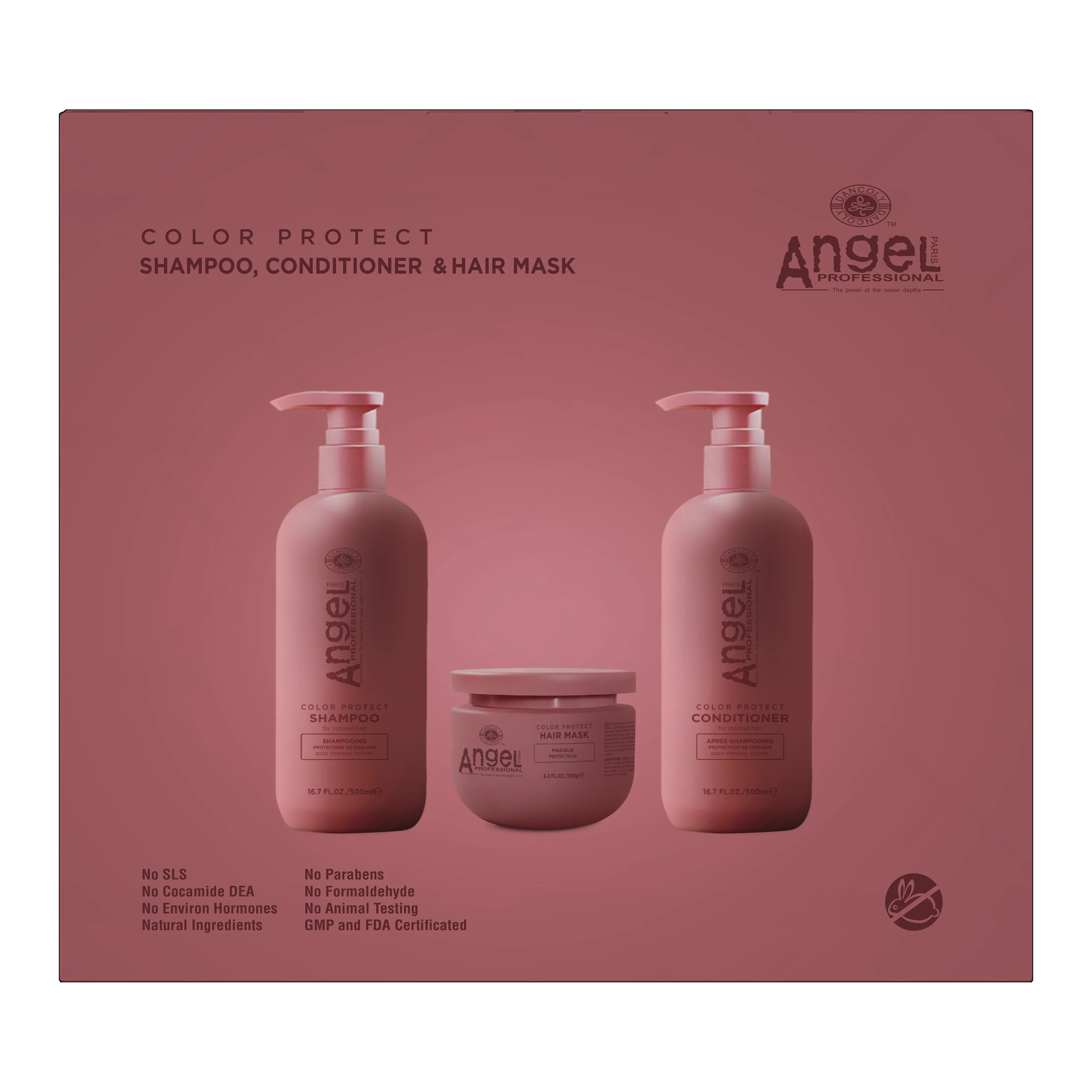 Dancoly Angel Colour Protect Gift Set - (Coloured Hair)