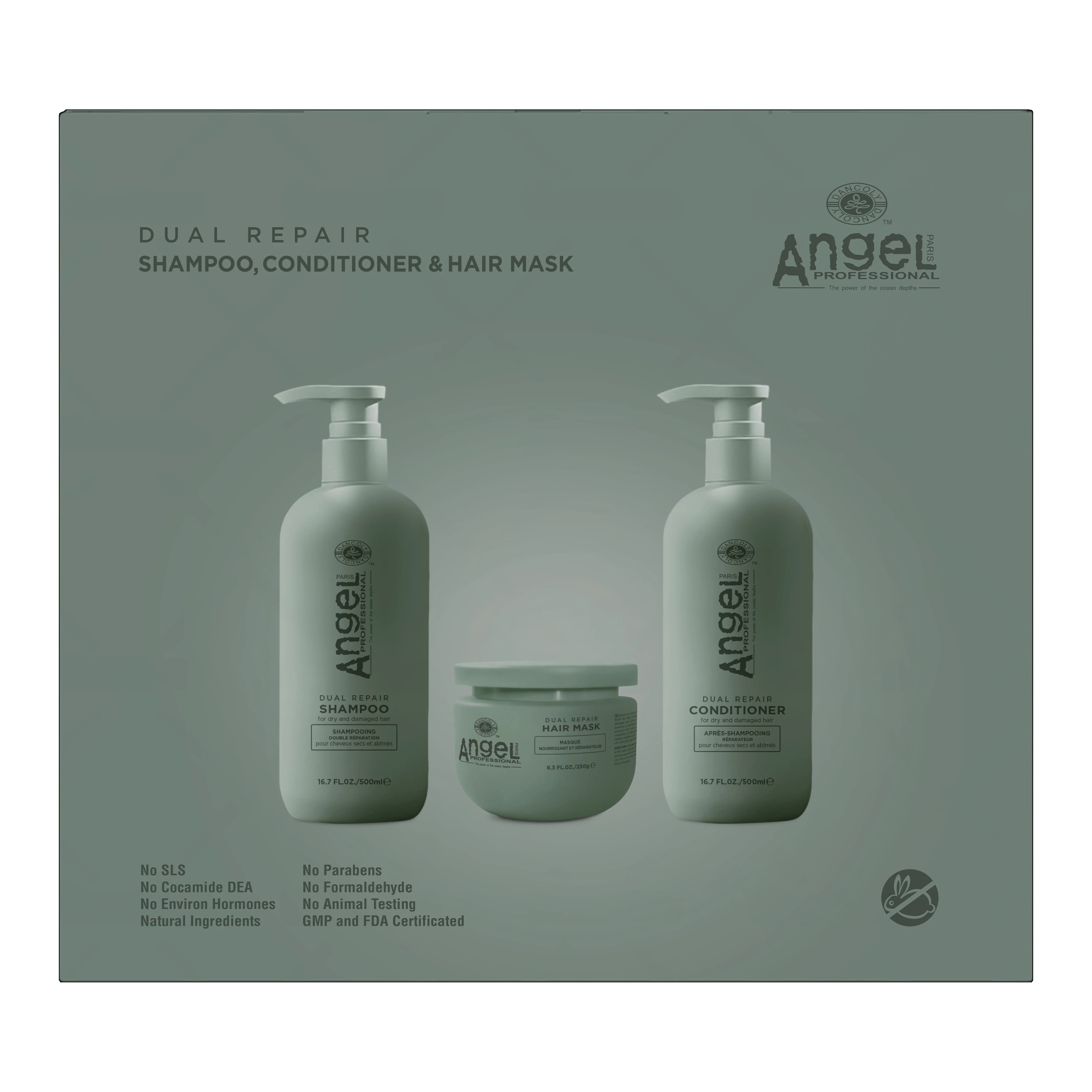 Dancoly Angel  Dual Repair Gift Set- (damaged hair)