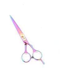 Professional Hairdressing Scissors 5.5" JP Stainless Hair Cutting Scissors