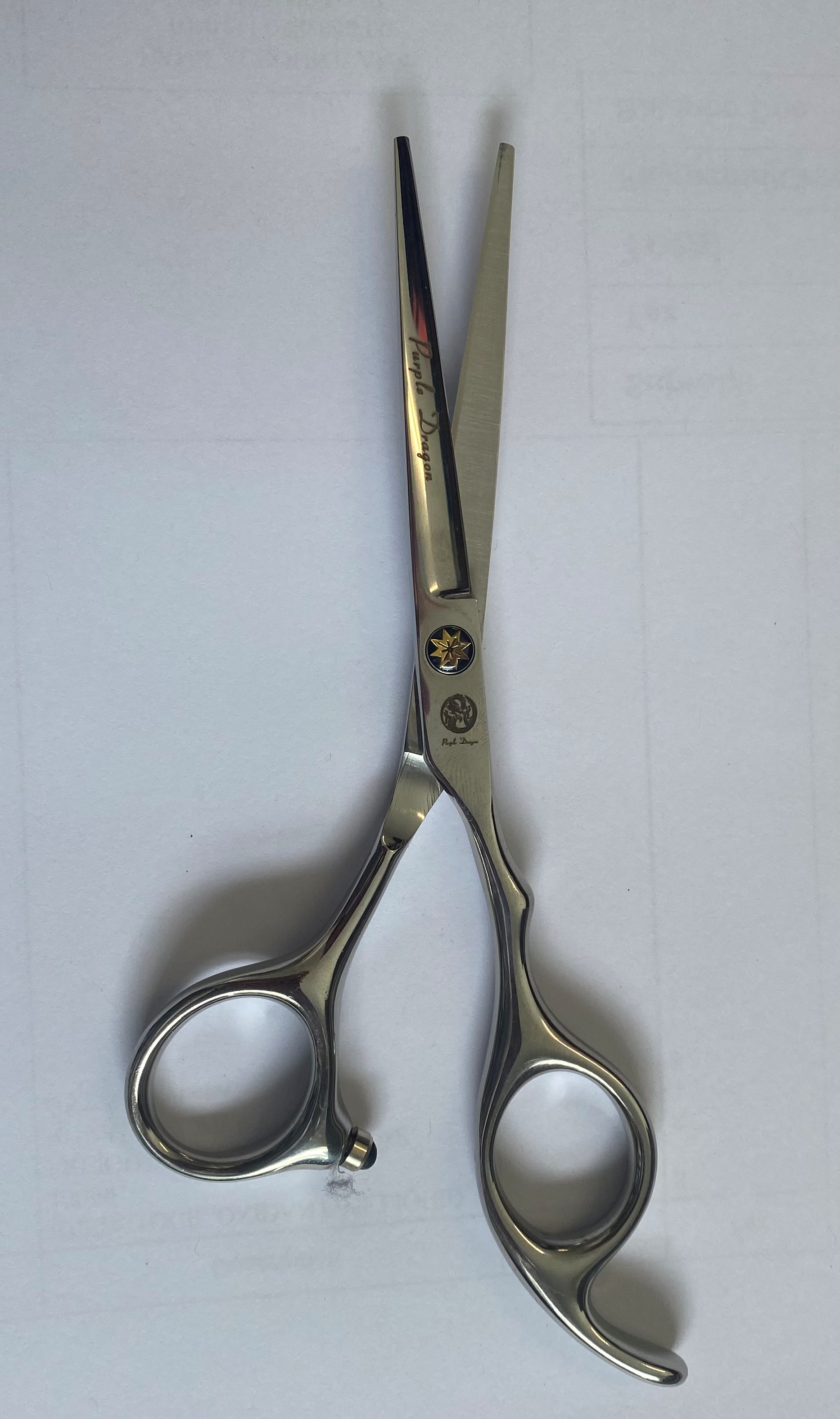 Professional Hairdressing Scissors 5.5" Stainless Steel Hair Cutting Scissors Silver 5.5"